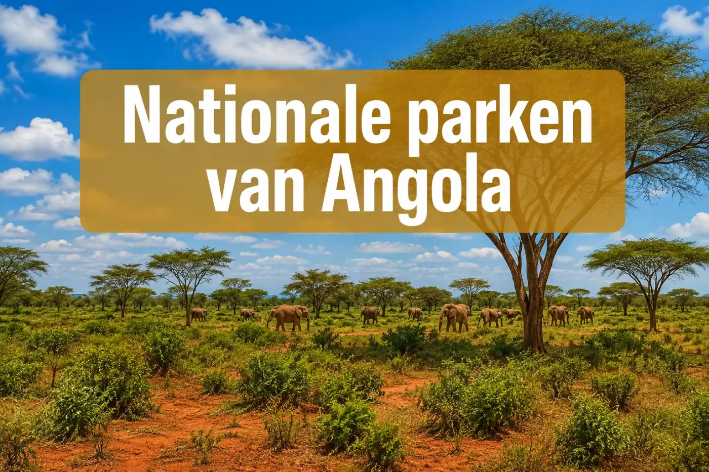 Nationale parken Angola
